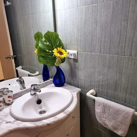 Sunflower Costablanca *